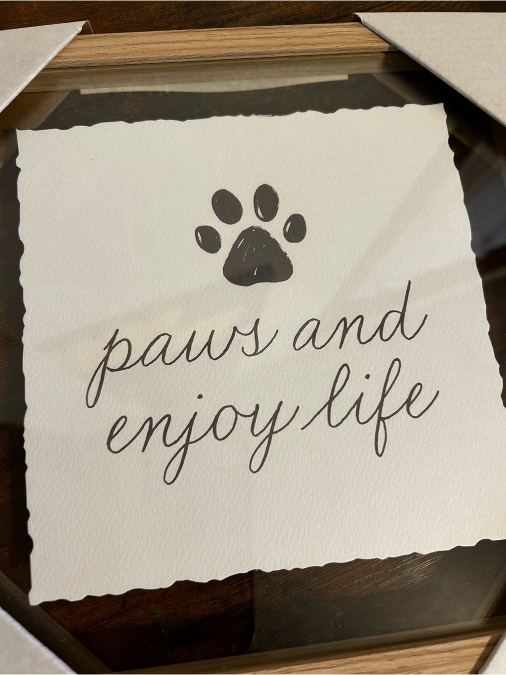 Paws and Enjoy Life Framed Pet Wall Art - Neutral Black Text